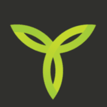 Talent Nation Logo