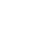 Bolt Talent Logo