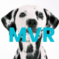 MVR Locums Logo